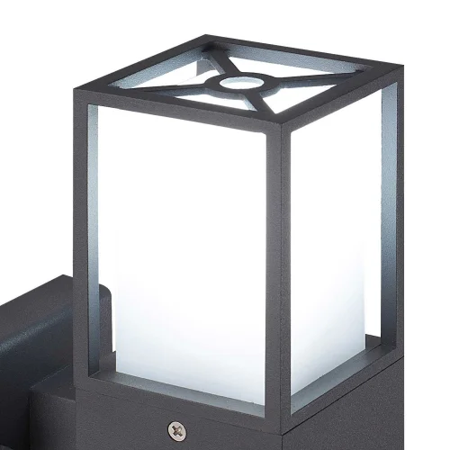 APPLIQUER POINSETTIA E27 ANTRÁCITA EXTERNE