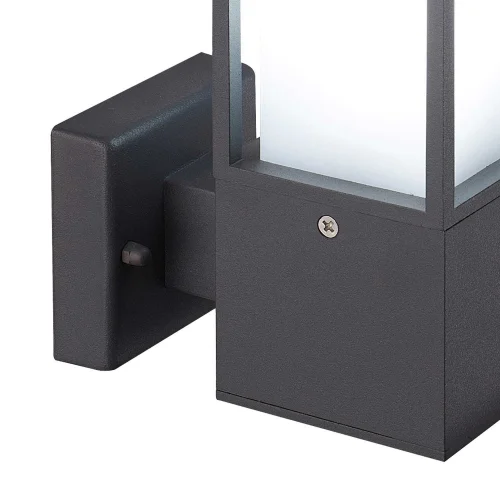 APPLIQUER POINSETTIA E27 ANTRÁCITA EXTERNE