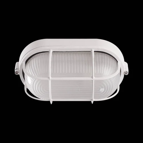 APPLIQUER OVALE EXTÉRIEUR DE GRILLE BLANCHE
