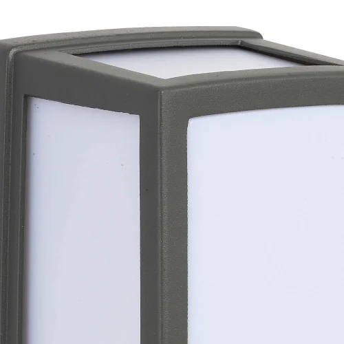 APPLIQUER LES RESSORTS EXTÉRIEURS DE PALMIER LED 12W 4000K