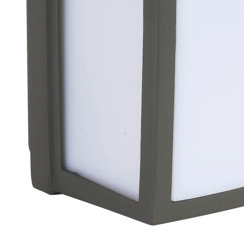 APPLIQUER LES RESSORTS EXTÉRIEURS DE PALMIER LED 12W 4000K