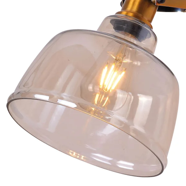 VERRE DE FÉVRIER DE LAMPE DE MUR