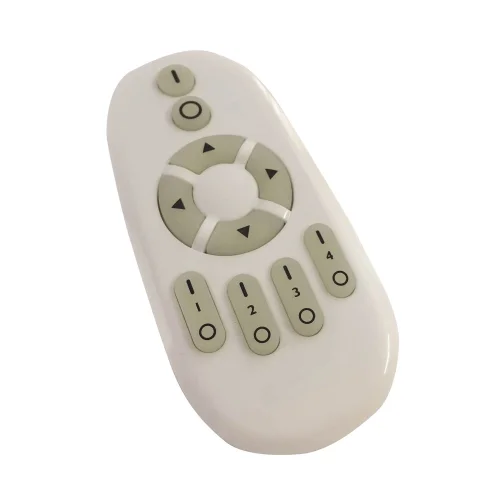 LAMPE DE PLAFOND CONDUIT GAEL 38W 4000K CHROME