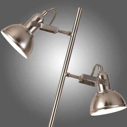 LAMPE DE PLANCHER DÉCORATIVE 2 LUMIÈRES DE MURRAY DE NICKEL