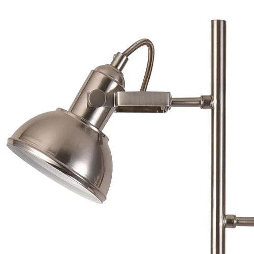 LAMPE DE PLANCHER DÉCORATIVE 2 LUMIÈRES DE MURRAY DE NICKEL