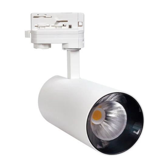 CONCENTRER LE RAIL EN TROIS PHASES LED COB 10W 4000K BLANC