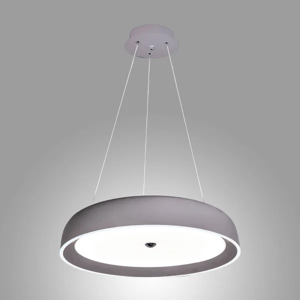 LAMPE DE PLAFOND LED PICTOR DIMMABLE DE 57W AVEC COMMANDE DE 50CM