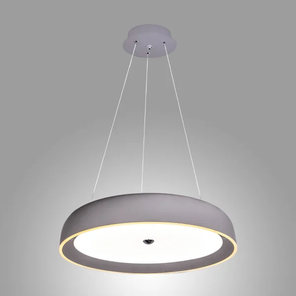 LAMPE DE PLAFOND LED PICTOR DIMMABLE DE 57W AVEC COMMANDE DE 50CM