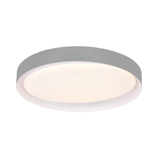PLAFONNIER LED BENTON 24W RÉGLABLE GRIS
