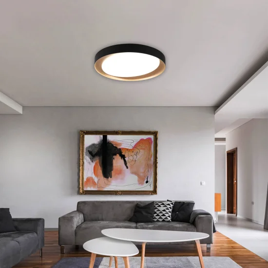 PLAFONNIER LED BENTON 24W RÉGLABLE NOIR