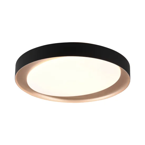 PLAFONNIER LED BENTON 24W RÉGLABLE NOIR 2