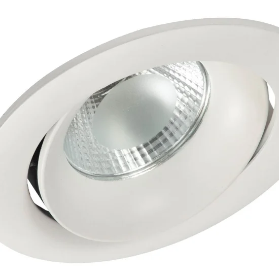 DOWNLIGHT LED COB 10W CHAUD 3000K 2