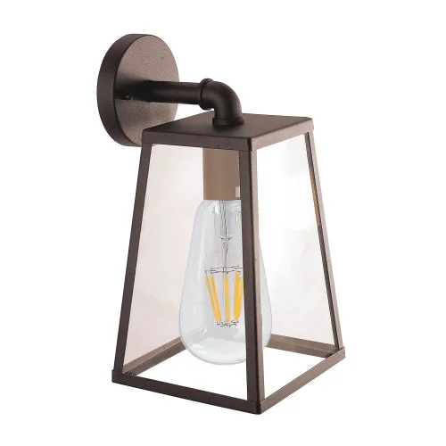 APPLIQUER L’OXYDE BRUN EXTÉRIEUR D’AZALÉE