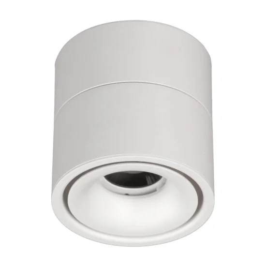 SPOT DE SURFACE LED 13 W 4000K BASCULEMENT ET PIVOTEMENT
