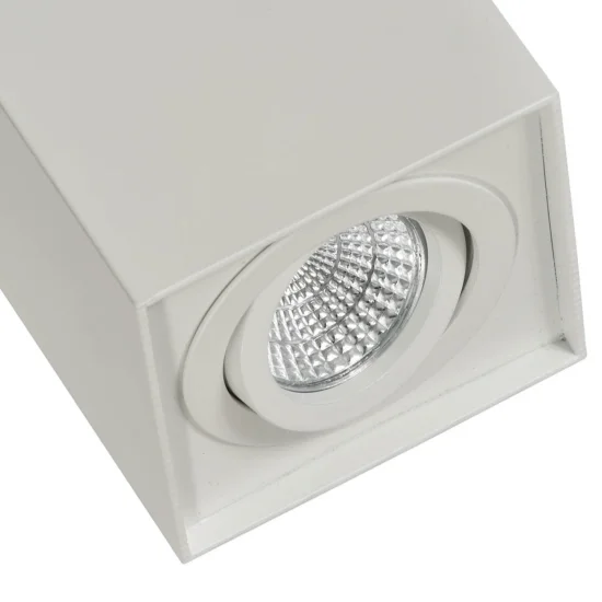 SPOT À SURFACE INCLINABLE BLANC GU10 CARRÉ 2