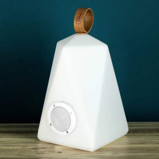 FARALAY JOUER LA LUMIÈRE ET LA MUSIQUE 2