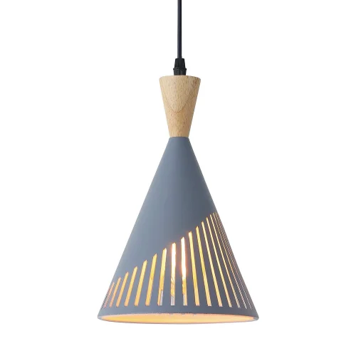 LÁMPARA DE TECHO GRIS ELNA