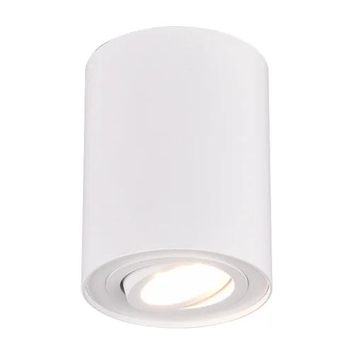 PLAFONNIER 1 LUMIÈRE ORIENTABLE MÉTAL BLANC GU10 FORTUNE