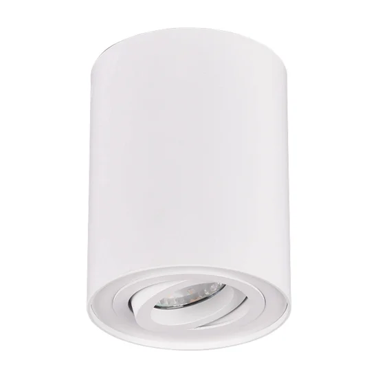 PLAFONNIER 1 LUMIÈRE ORIENTABLE MÉTAL BLANC GU10 FORTUNE 2