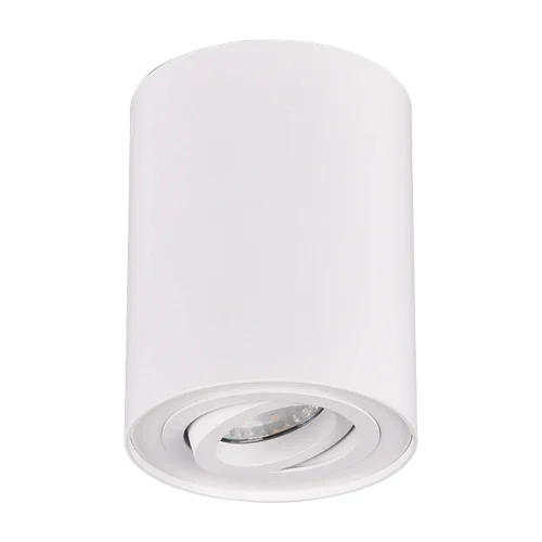PLAFONNIER 1 LUMIÈRE ORIENTABLE MÉTAL BLANC GU10 FORTUNE