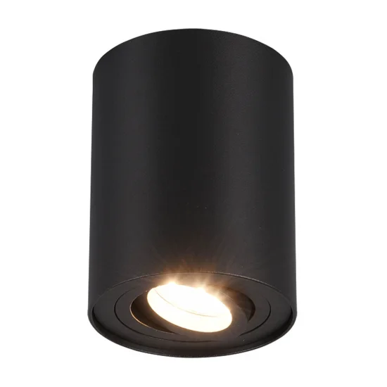 PLAFONNIER 1 LUMIÈRE ORIENTABLE EN MÉTAL NOIR GU10 FORTUNE