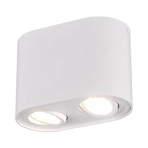PLAFONNIER 2 LUMIÈRES ORIENTABLES MÉTAL BLANC GU10 FORTUNE