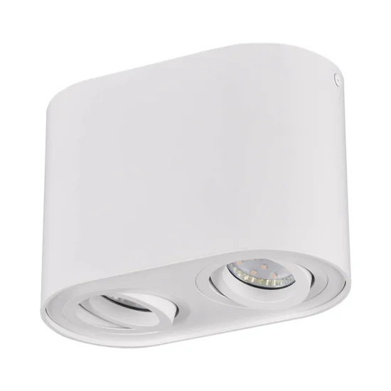 PLAFONNIER 2 LUMIÈRES ORIENTABLES MÉTAL BLANC GU10 FORTUNE 2
