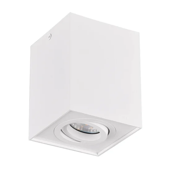 PLAFONNIER 1 LUMIÈRE ORIENTABLE MÉTAL BLANC GU10 GARIBALDI 2
