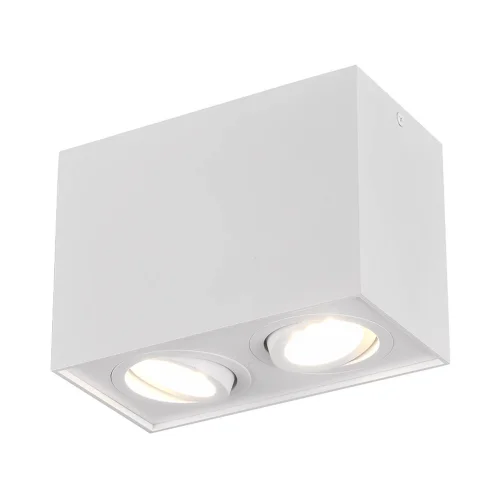 PLAFONNIER 2 LUMIÈRES ORIENTABLES MÉTAL BLANC GU10 GARIBALDI PLAFONNIER 2 LUMIÈRES ORIENTABLES MÉTAL BLANC GU10 GARIBALDI