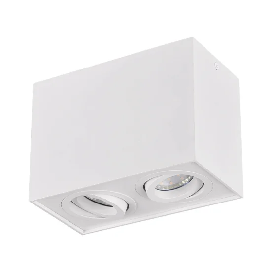 PLAFONNIER 2 LUMIÈRES ORIENTABLES MÉTAL BLANC GU10 GARIBALDI 2