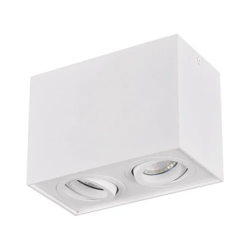 PLAFONNIER 2 LUMIÈRES ORIENTABLES MÉTAL BLANC GU10 GARIBALDI PLAFONNIER 2 LUMIÈRES ORIENTABLES MÉTAL BLANC GU10 GARIBALDI