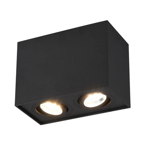 PLAFONNIER 2 LUMIÈRES INCLINABLE MÉTAL NOIR GU10 GARIBALDI
