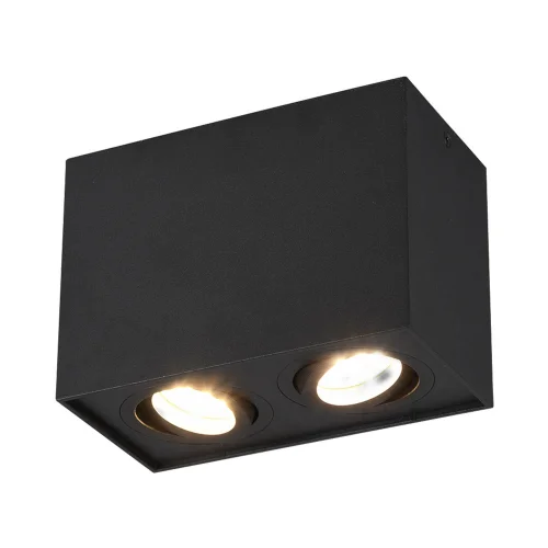 PLAFONNIER 2 LUMIÈRES INCLINABLE MÉTAL NOIR GU10 GARIBALDI PLAFONNIER 2 LUMIÈRES INCLINABLE MÉTAL NOIR GU10 GARIBALDI