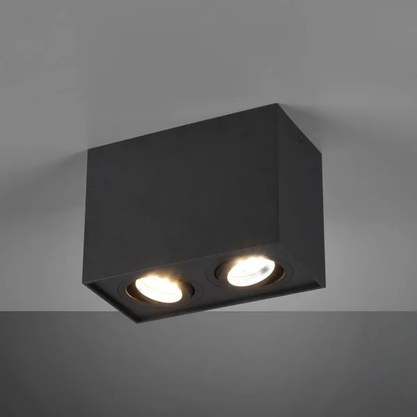 PLAFONNIER 2 LUMIÈRES INCLINABLE MÉTAL NOIR GU10 GARIBALDI PLAFONNIER 2 LUMIÈRES INCLINABLE MÉTAL NOIR GU10 GARIBALDI