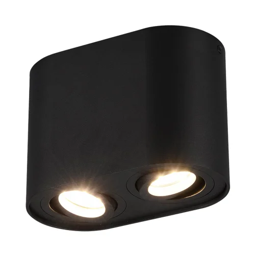 PLAFONNIER 2 LUMIÈRES ORIENTABLES MÉTAL NOIR GU10 FORTUNE