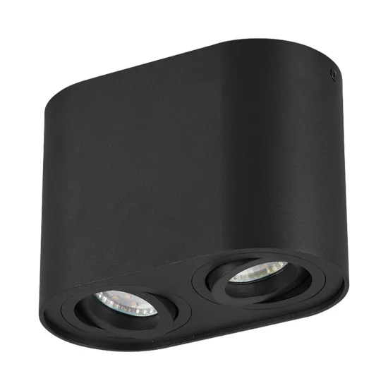PLAFONNIER 2 LUMIÈRES ORIENTABLES MÉTAL NOIR GU10 FORTUNE 2