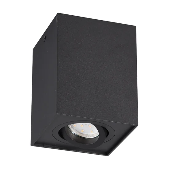 PLAFONNIER 1 LUMIÈRE ORIENTABLE EN MÉTAL NOIR GU10 GARIBALDI 2