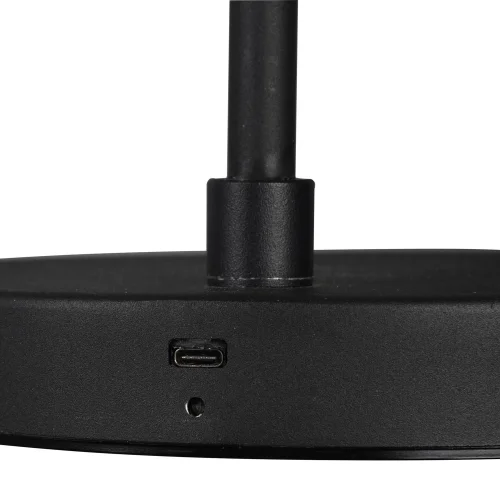 LAMPADAIRE LED 4,5 W 3000K METAL NOIR CALLUM