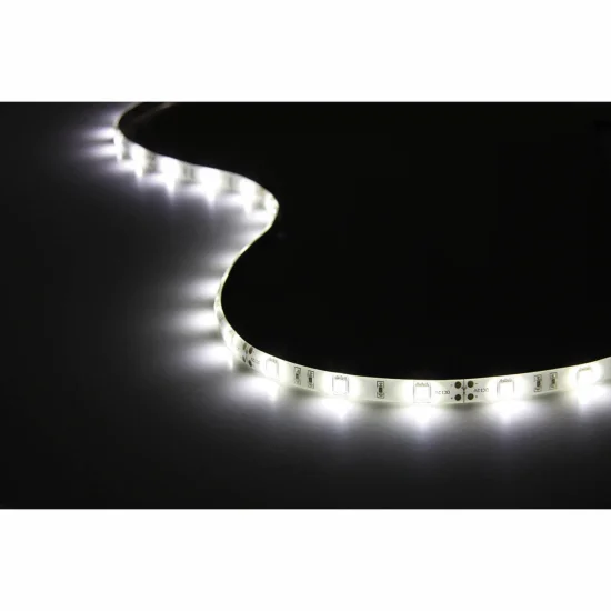 BANDE LED 12V DC 8W 30LED 1M LUMIÈRE BLANCHE 6500K IP44