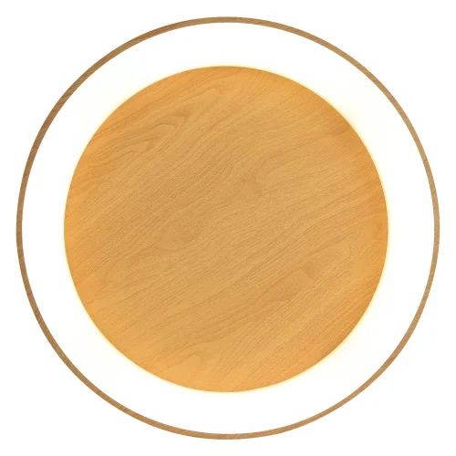 PLAFONNIER LED À RÉGLAGE VARIABLE AVEC BOUTON DE COMMANDE EN IMITATION BOIS HARALD PLAFONNIER LED À RÉGLAGE VARIABLE AVEC BOUTON DE COMMANDE EN IMITATION BOIS HARALD