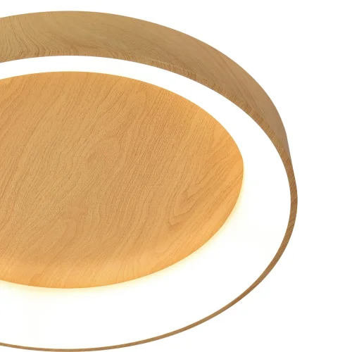 PLAFONNIER LED À RÉGLAGE VARIABLE AVEC BOUTON DE COMMANDE EN IMITATION BOIS HARALD PLAFONNIER LED À RÉGLAGE VARIABLE AVEC BOUTON DE COMMANDE EN IMITATION BOIS HARALD