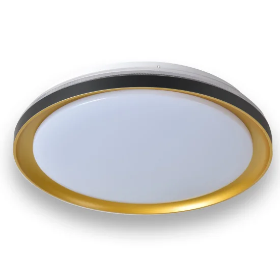 PLAFONNIER LED 35 W RÉGLABLE AVEC TÉLÉCOMMANDE NOIR/DORÉ SHIRLEY 2