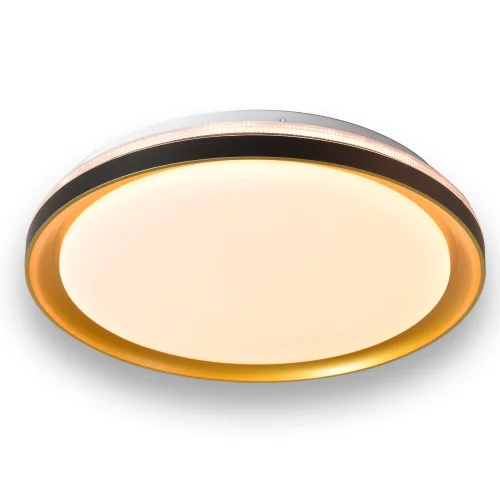 PLAFONNIER LED 35 W RÉGLABLE AVEC TÉLÉCOMMANDE NOIR/DORÉ SHIRLEY PLAFONNIER LED 35 W RÉGLABLE AVEC TÉLÉCOMMANDE NOIR/DORÉ SHIRLEY