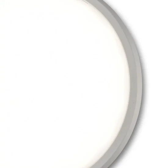 APPLIQUE LED EXTÉRIEURE 20 W 4000K CIRCULAIRE IP65 CAMÉLIA 2