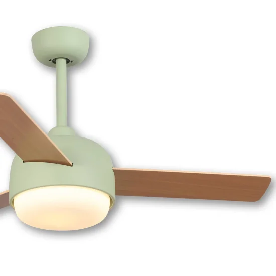 VENTILATEUR DE PLAFOND AVEC LUMIÈRE 24 W MOTEUR DC 3 PALES VERT/BOIS RIVERDALE 2