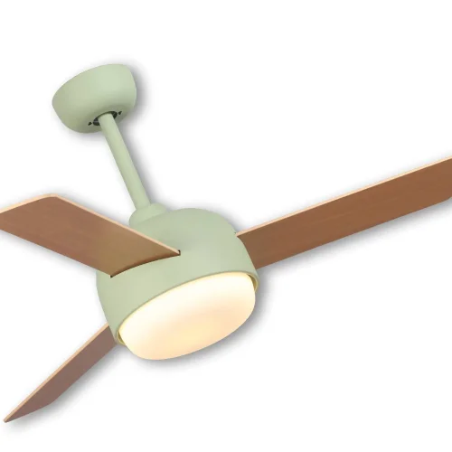 VENTILATEUR DE PLAFOND LED 24 W DIMMABLE VERT/BOIS RIVERDALE VENTILATEUR DE PLAFOND LED 24 W DIMMABLE VERT/BOIS RIVERDALE
