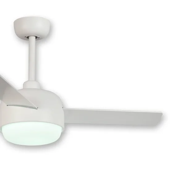VENTILATEUR DE PLAFOND LED 24 W RÉGLABLE BLANC RIVERDALE 2