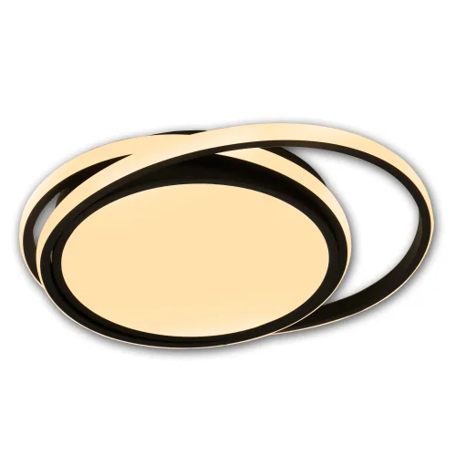 PLAFONNIER LED 60 W NOIR DIMMABLE OFELIA