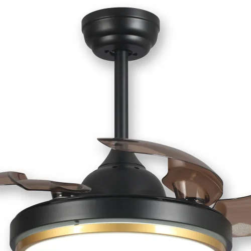 VENTILATEUR DE PLAFOND LED 29 W DIMMABLE NOIR PLIANT SILVERSTONE