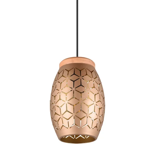 SUSPENSION 1 LUMIÈRE MÉTAL CAFÉ E27 BIRKITA